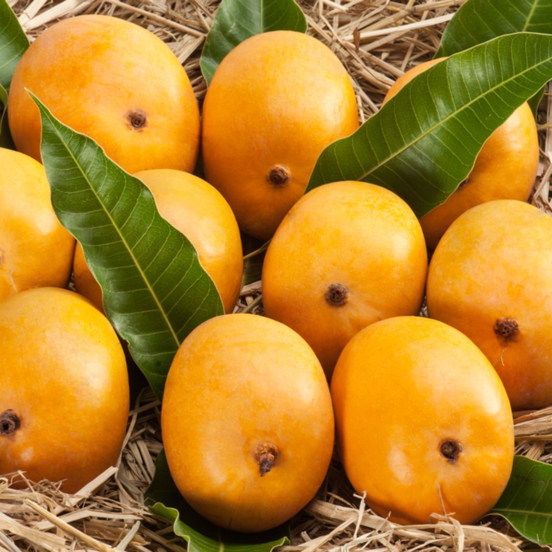 buy-fresh-mango-apple-pomegranate-fruits-online